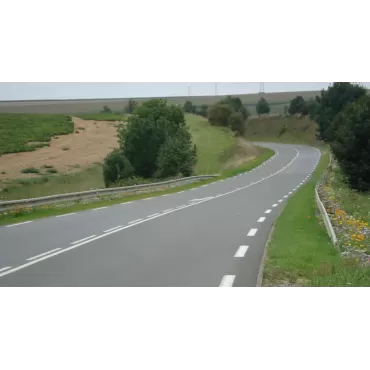 Flori pentru Infrastructura Rutiera 1 Kg